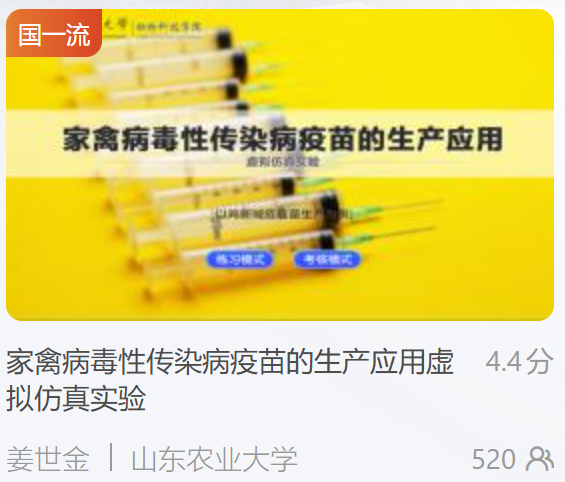 国家一流课程