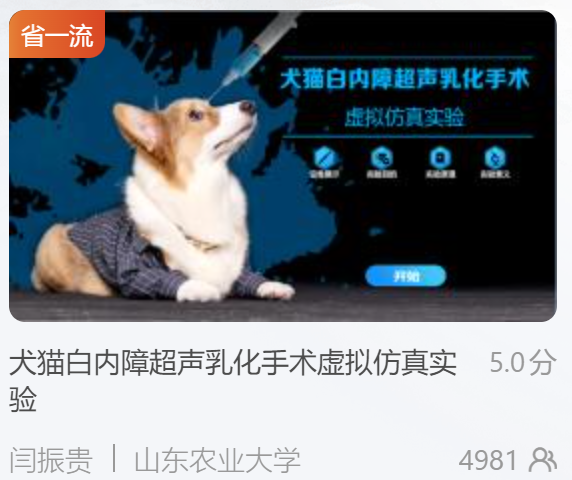 省一流课程