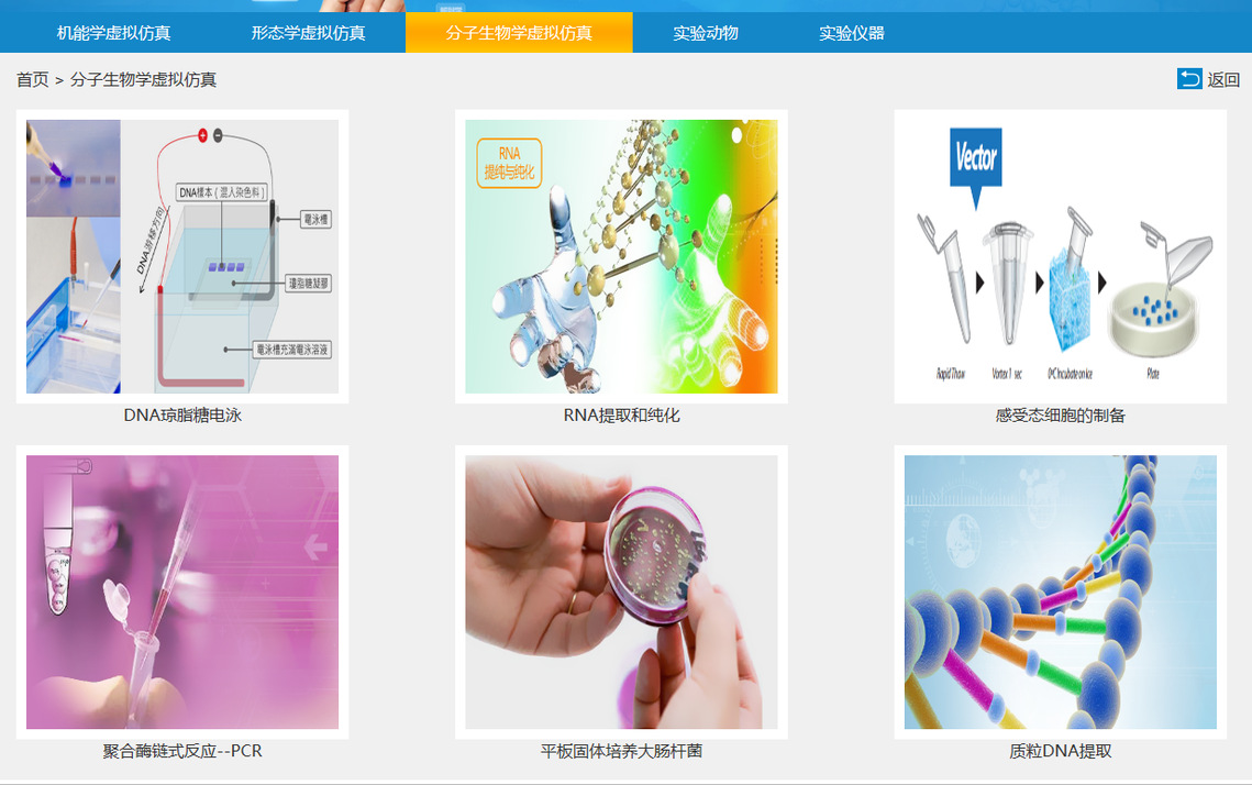 分子生物学虚拟仿真